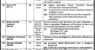 Provincial Assembly Punjab jobs