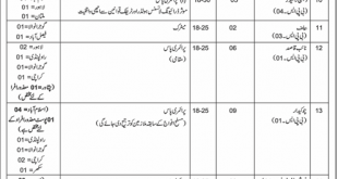 Ministry Of Law and Justice Jobs
