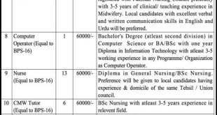 MNCH Programme Merged Districts Peshawar jobs