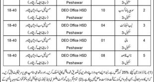 Education Department DEO Hassan Khel Subdivision Peshawar Jobs 21st May 2020