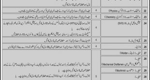 Public Sector Scientific and Technical Institution Rawalpindi/Islamabad Jobs November 2020