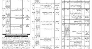 Khyber Pakhtunkhwa Emergency Rescue Service (RESCUE 1122) ETEA Jobs 2022