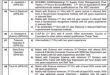 Public sector organization (General Hospital) Mianwali NTS Jobs 2022